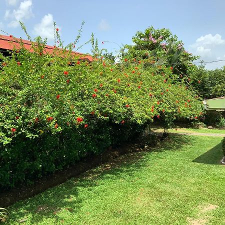 Отель Casona Tica Linda Сарапики Экстерьер фото